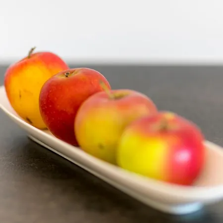 Wiesenhof - Natur&weitblick über - Ladestation Für Elektroautos * Innsbruck