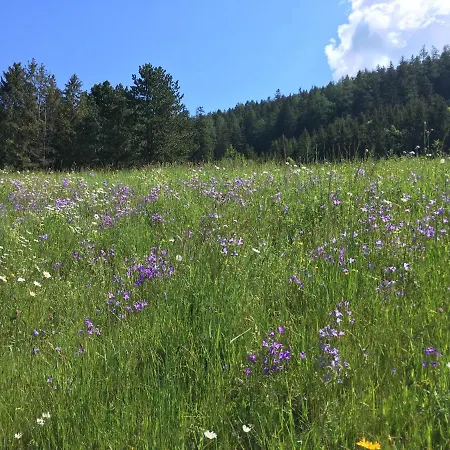 Wiesenhof - Natur&weitblick über - Ladestation Für Elektroautos *