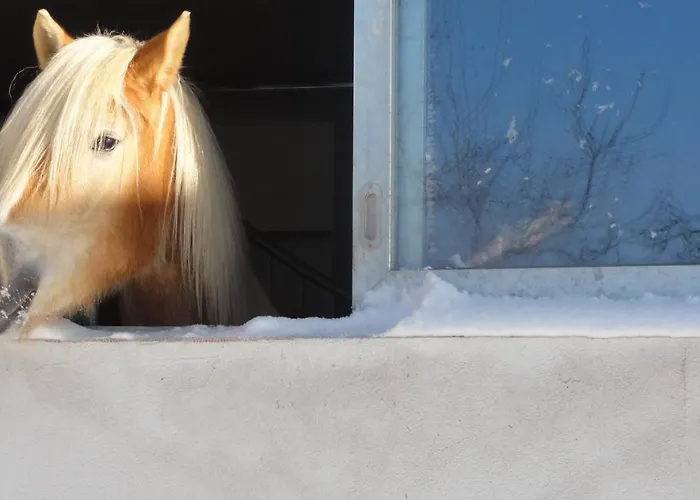 Wiesenhof - & Weitblick Ueber - Ladestation Fuer Elektroautos Apartmán