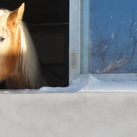 Wiesenhof - & Weitblick Ueber - Ladestation Fuer Elektroautos Apartment